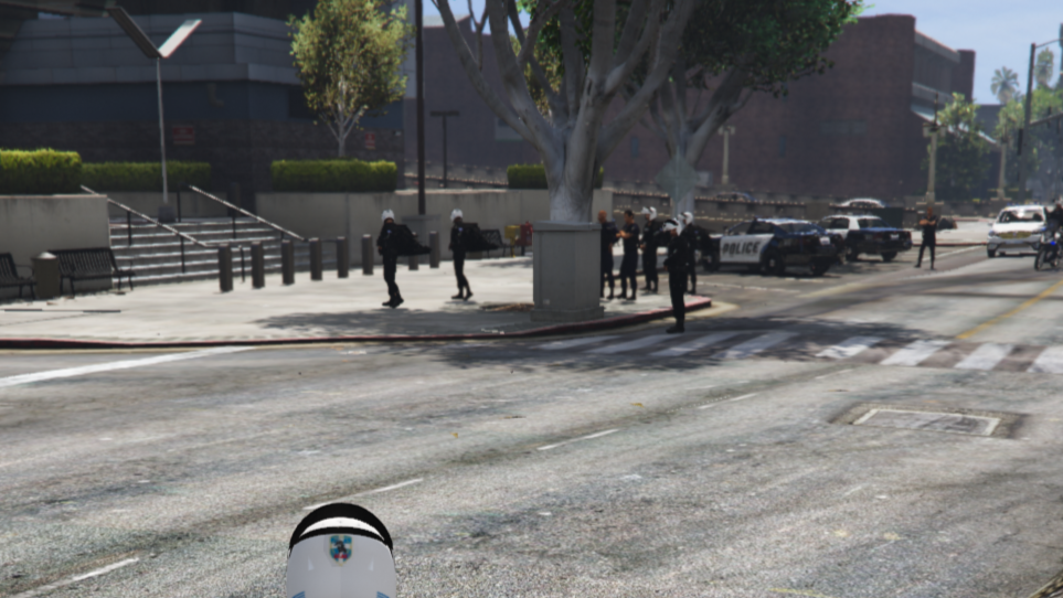 Could contain: outdoor, road, car, ground, land vehicle, wheel, building, tree, vehicle, sky, road surface, street, bird