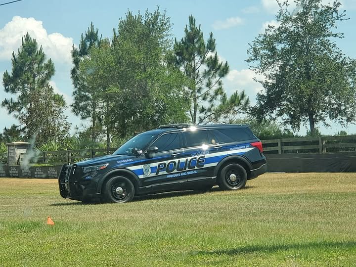 Could contain: vehicle, land vehicle, wheel, outdoor, sky, grass, tire, tree, transport, law enforcement, police car, police, full-size car, ford, car