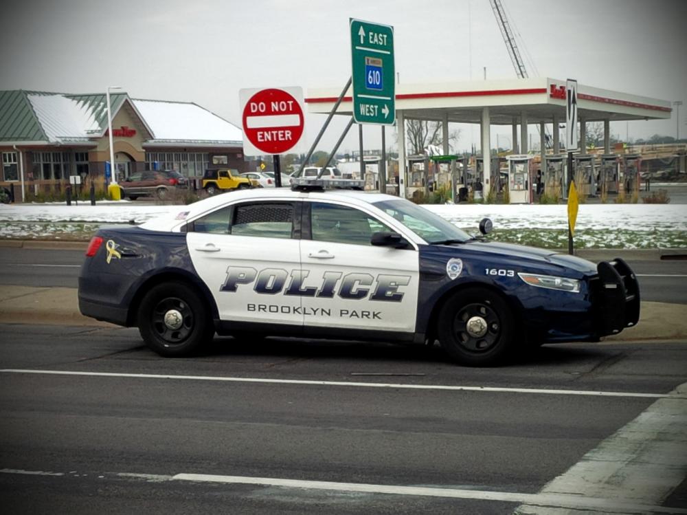 Brooklyn Park Taurus.jpg