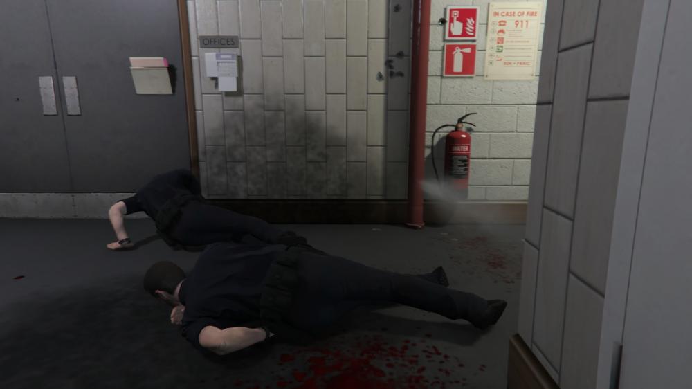 Grand Theft Auto V_20150422224506.jpg
