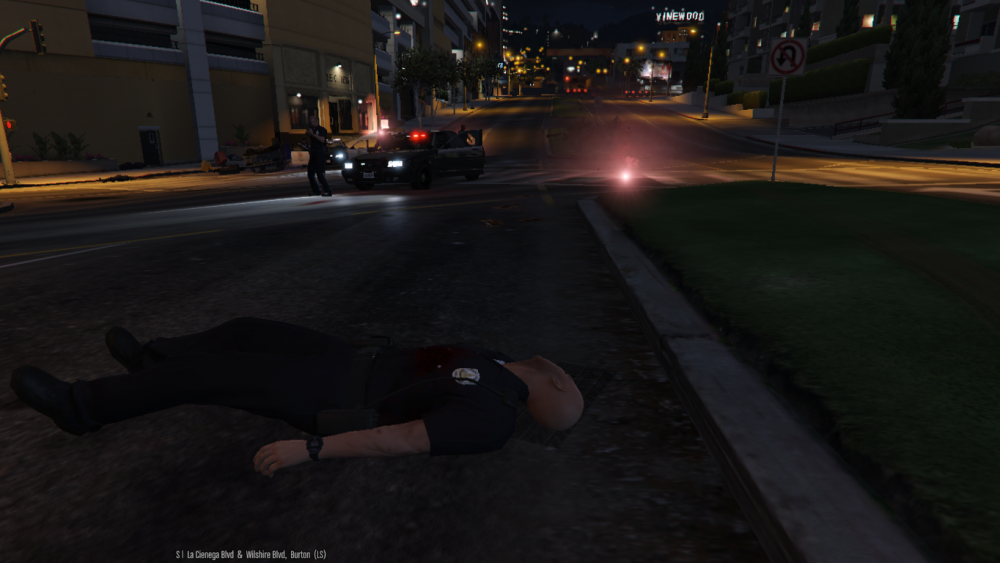 GTA5_2015-06-24_15-31-56-04.thumb.png.60