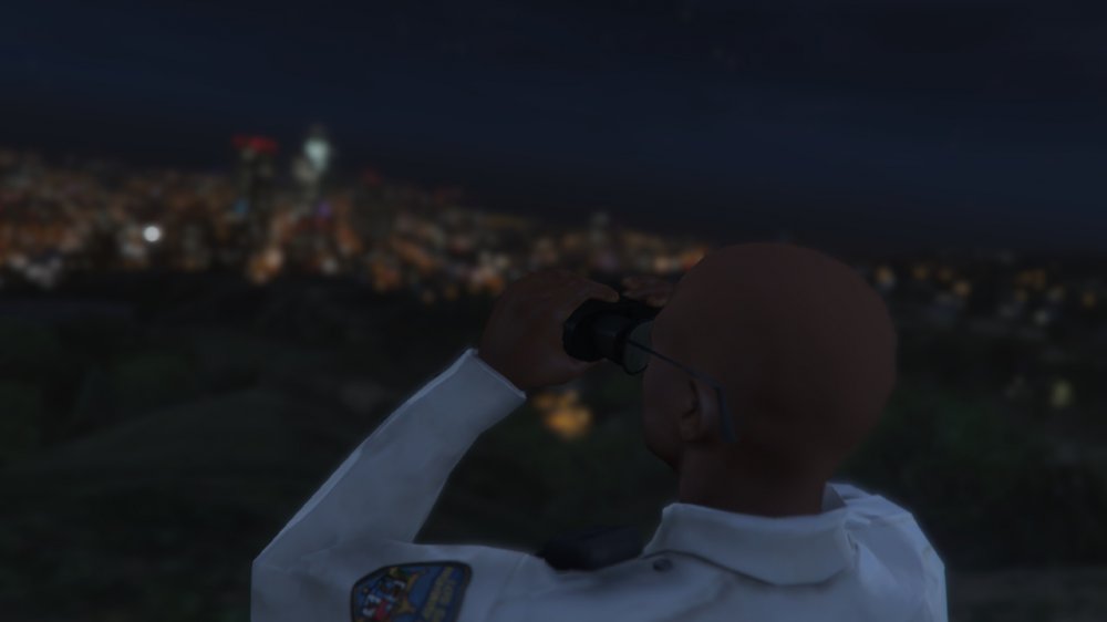 GTA5_2015-08-24_02-28-25-170.thumb.jpg.f