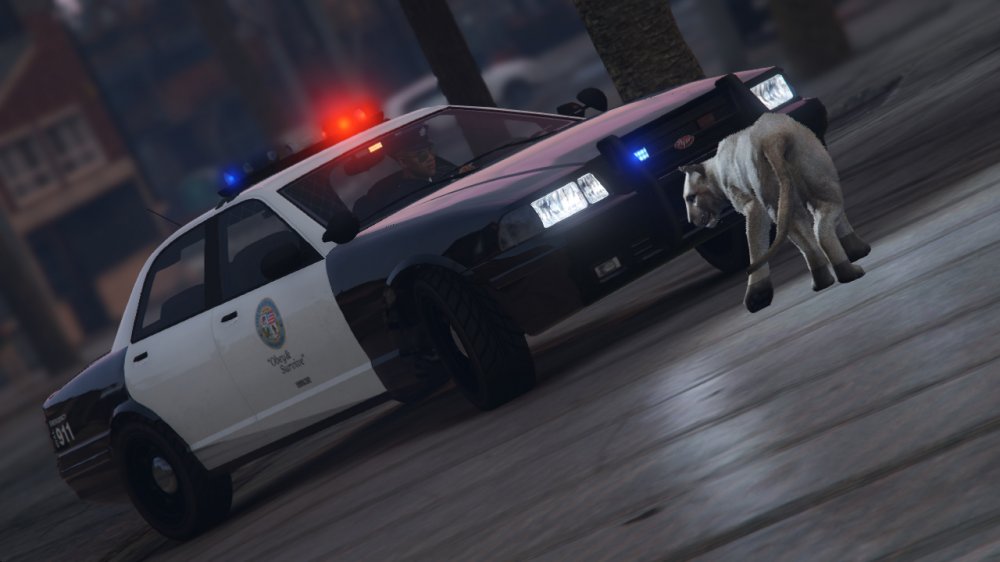 GTA5_2015-08-25_01-42-17-483.thumb.jpg.1