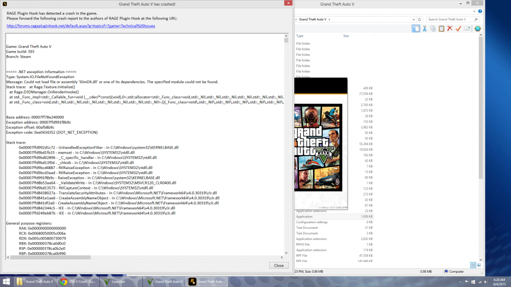 GTA V Crash Info.png