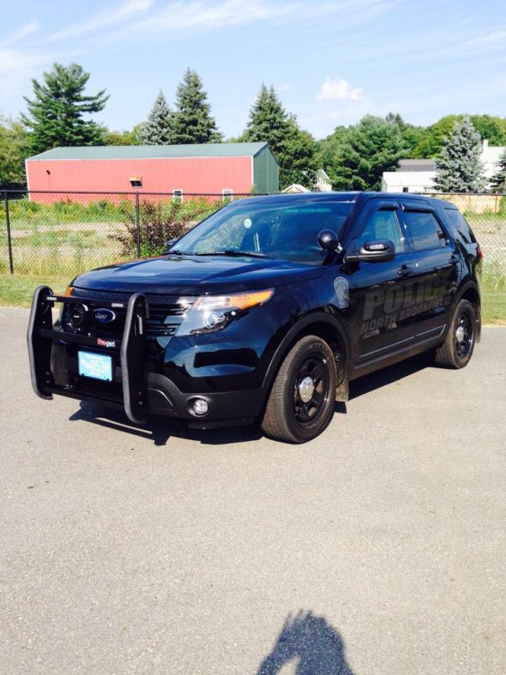 NBPD2.thumb.jpg.f8307f3731954a5fad5b01a1