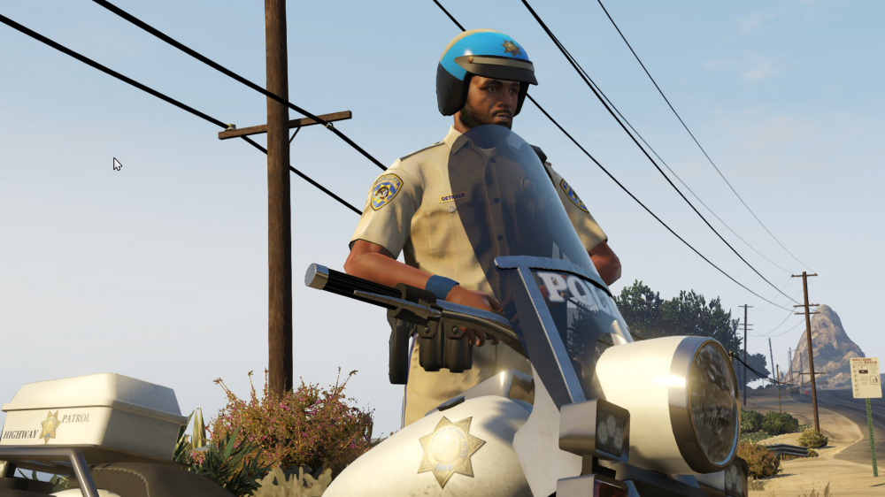 SAHP_Screenshot__1.thumb.png.ae9692b63ff