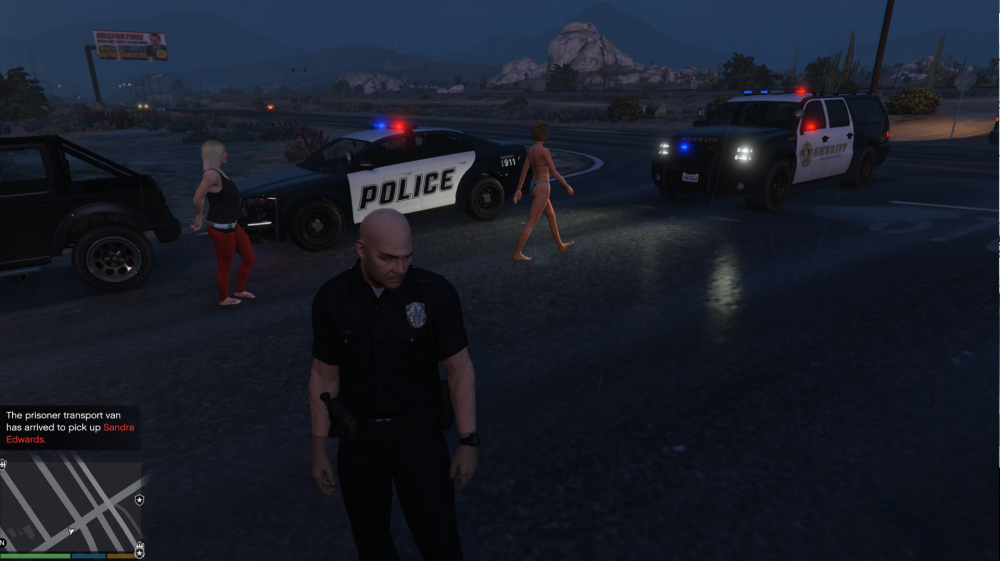 PreviewCustoms.thumb.png.994453081a45fe5