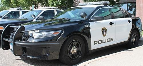 police_car Bloomington 1.jpg