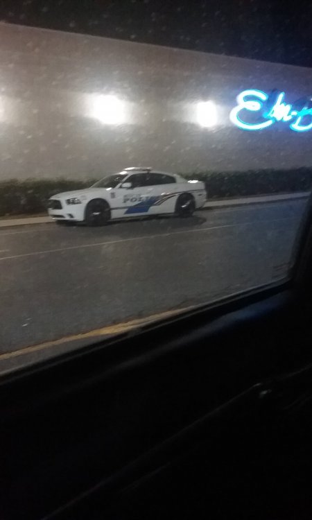 20160113_190227.thumb.jpg.9a0d1e76d12bf7