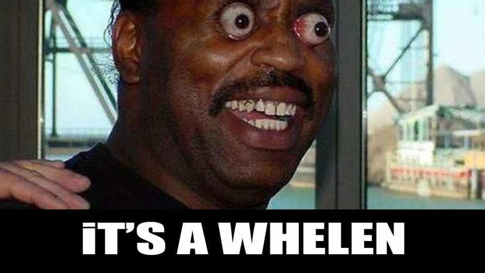 gallery_2178_298_390669.thumb.png.30c6f7