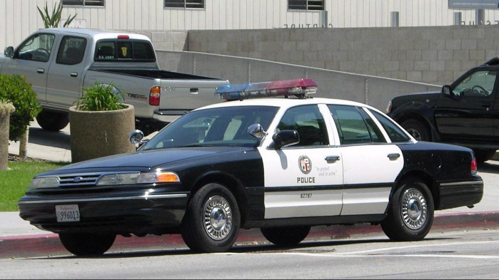 lapd175.jpg