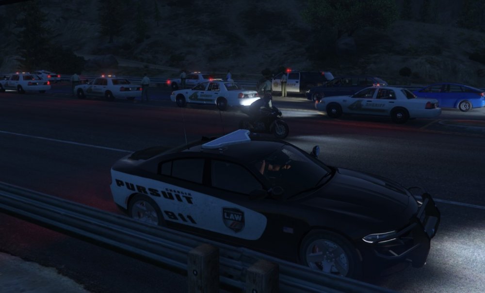 LSPDFR DUI Checkpoint.jpg