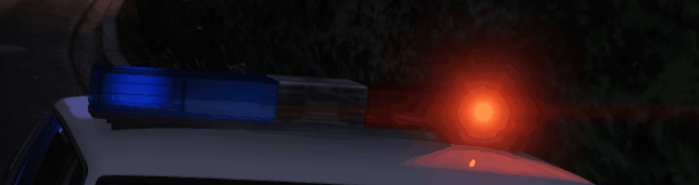 Animation.gif.9196c59f3a1ff3e7d024a06f14