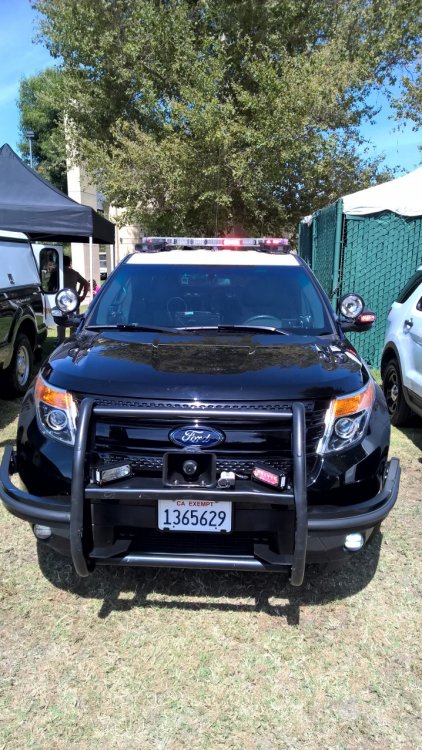 WP_20150530_10_29_13_Pro.thumb.jpg.ef76e