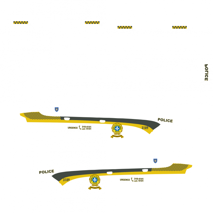 dodge charger skin sq fini.png