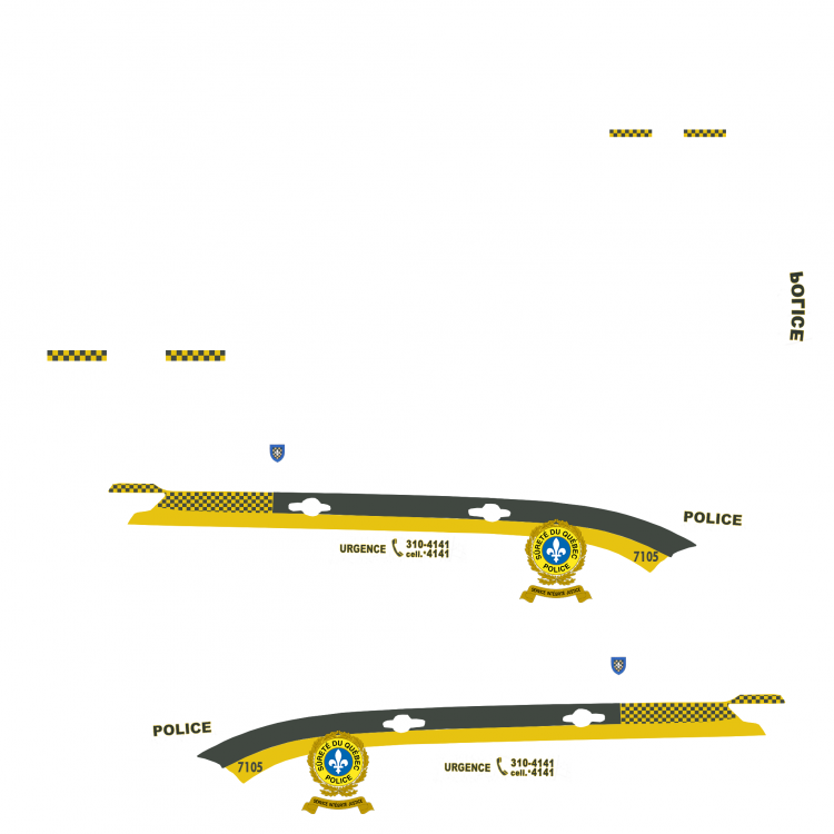 skin sq explorer blancgros logo.png