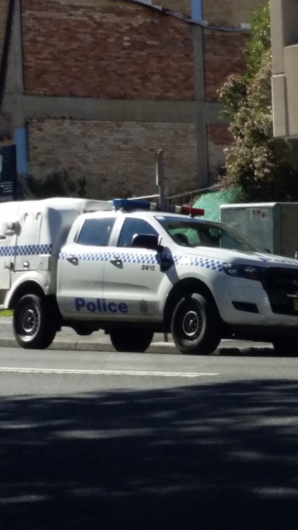 2016-07-28 11.51.15.jpg