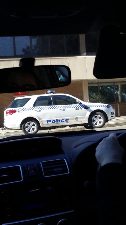 2016-07-28 11.51.20.jpg