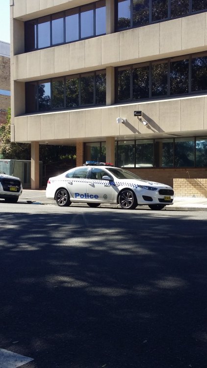 2016-07-28 11.51.29.jpg