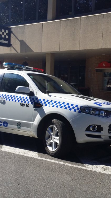 2016-07-28 11.51.38.jpg