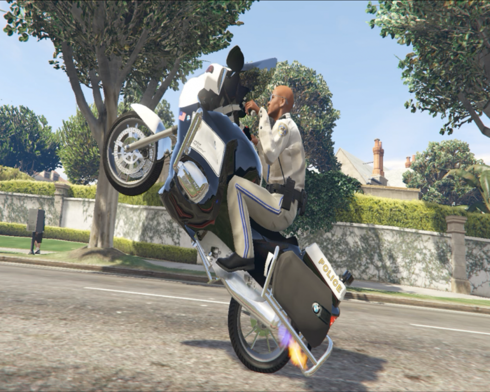 Hway_cop.png
