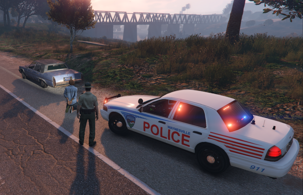 WaynesvilleCrownVicSkin.png