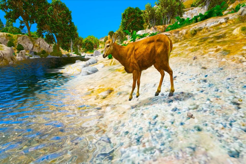 deer.jpg