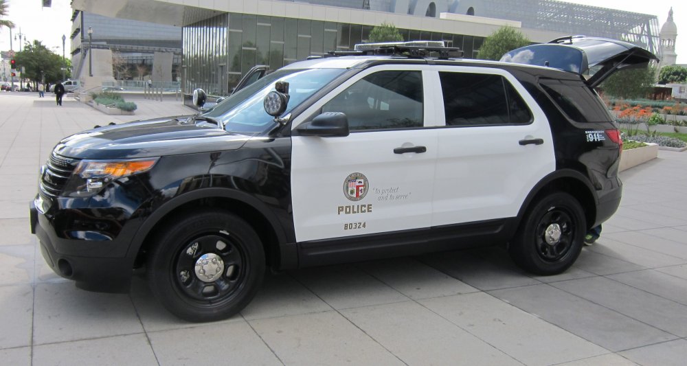 lapd365.jpg