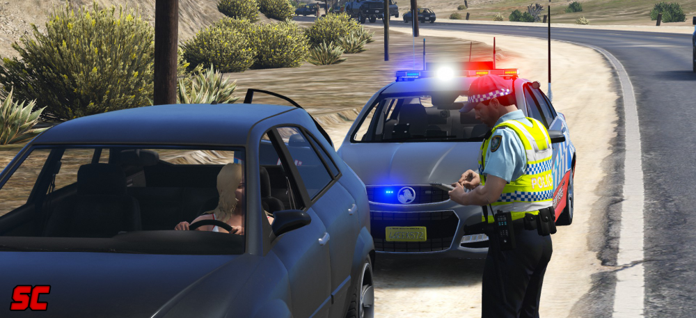 traffic stop.png