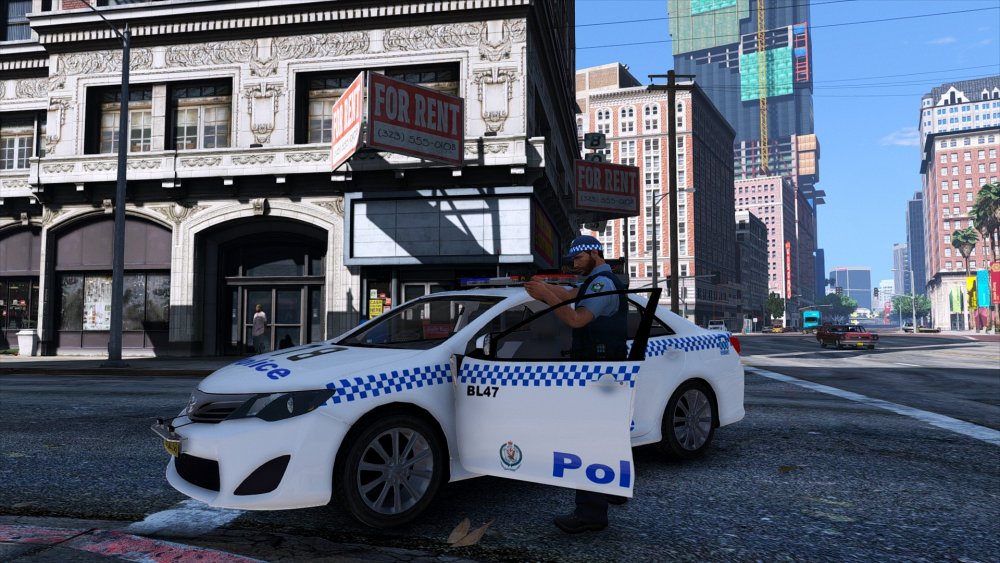 NSW POLICE GD ON SCENE.jpg