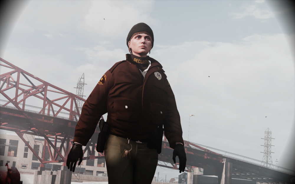 GTA5 2017-02-19 12-29-09.png