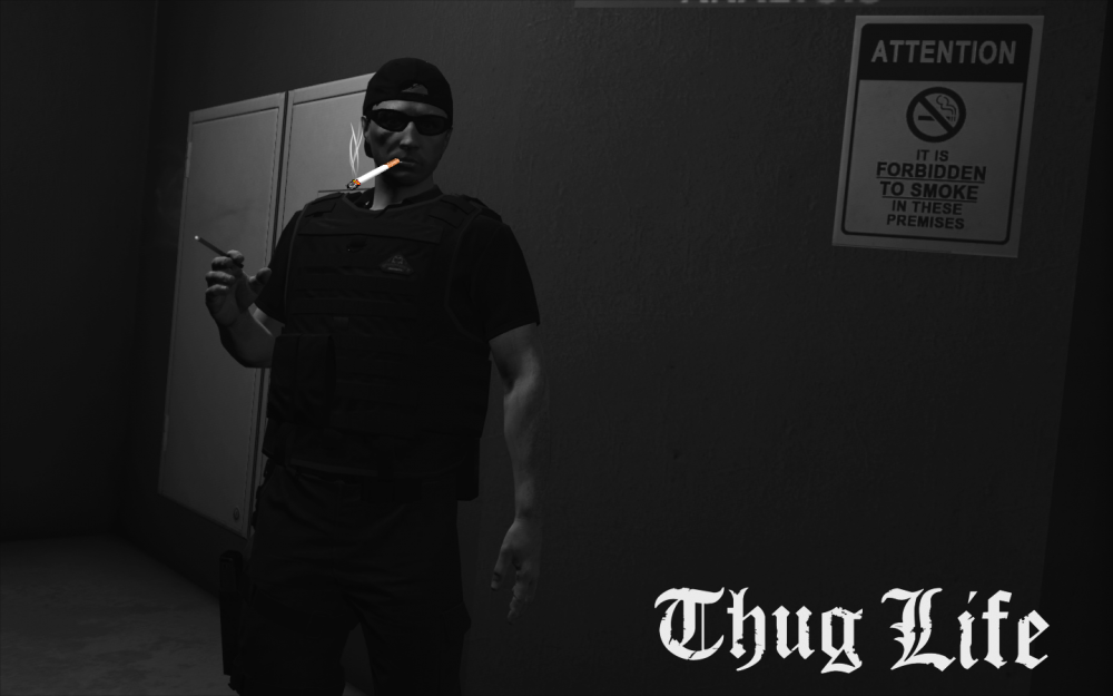 GTA5 2017-02-26 12-28-04TL.png