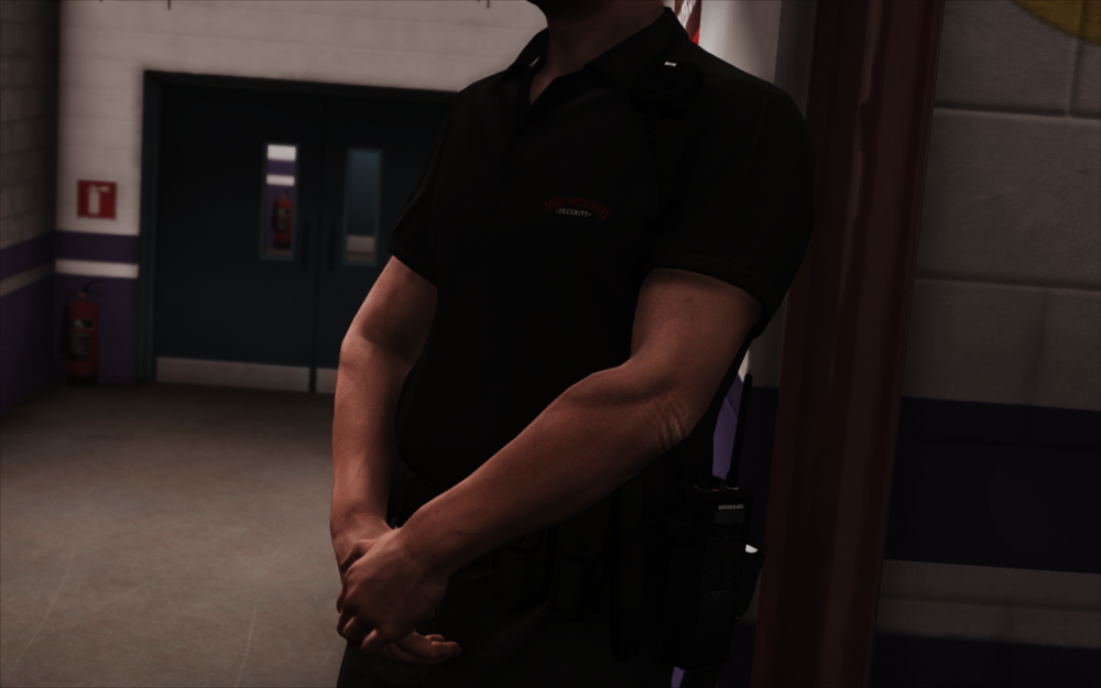 GTA5 2017-02-26 19-03-32.png