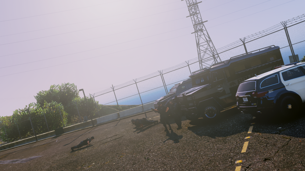 Grand Theft Auto V 03.25.2017 - 16.06.35.04.png