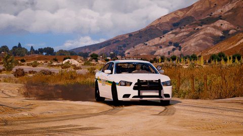 gif02.gif.59b2417dd92f53cd95a82ec68a3fae94.gif