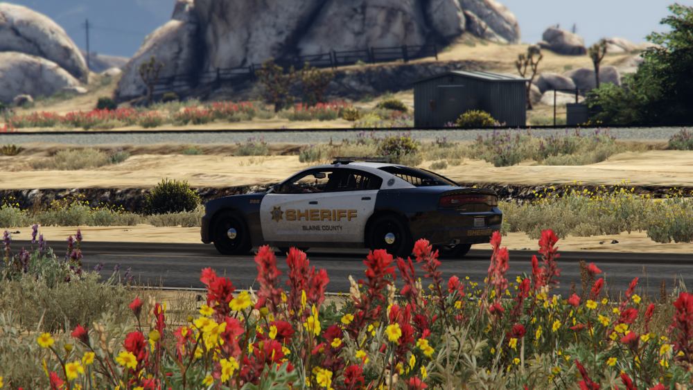 Grand Theft Auto V 04.06.2017 - 17.30.57.01.png