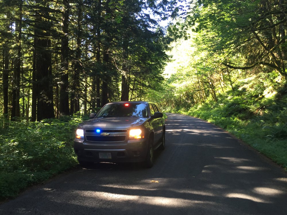 File_001 (1) (1).jpg