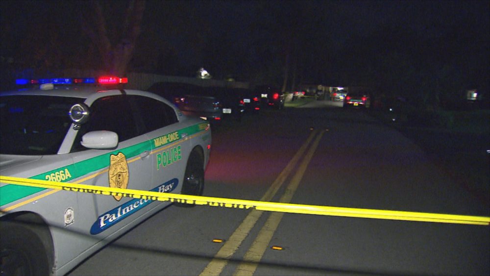 Palmetto Bay police-involved shooting_1458723098700_2438203_ver1.0_1280_720.png