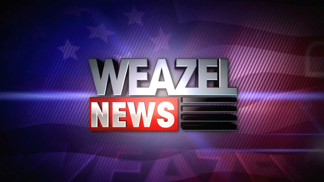 Weazel_News.png.90ad4d6fbeecd1ee019f6ddff0a8368d.png