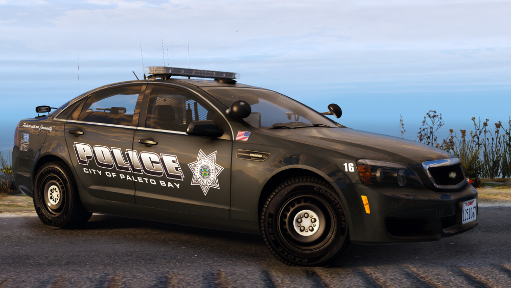 Grand Theft Auto V 1_23_2018 11_11_21 AM.png