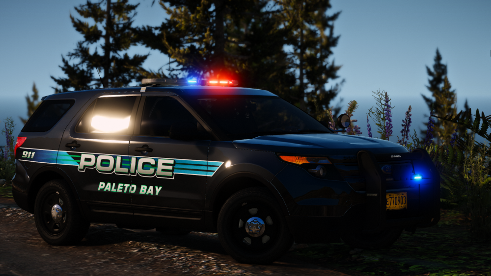 Grand Theft Auto V 4_20_2018 12_57_32 PM.png