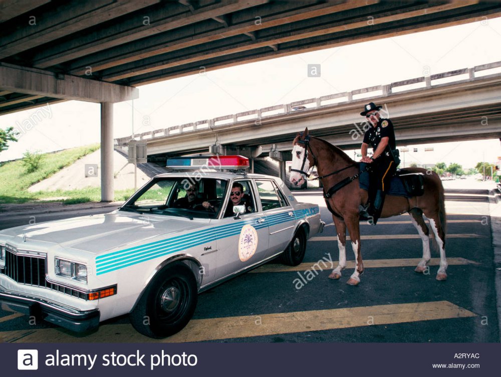 miami-police-mounted-in-patrol-car-A2RYAC.jpg