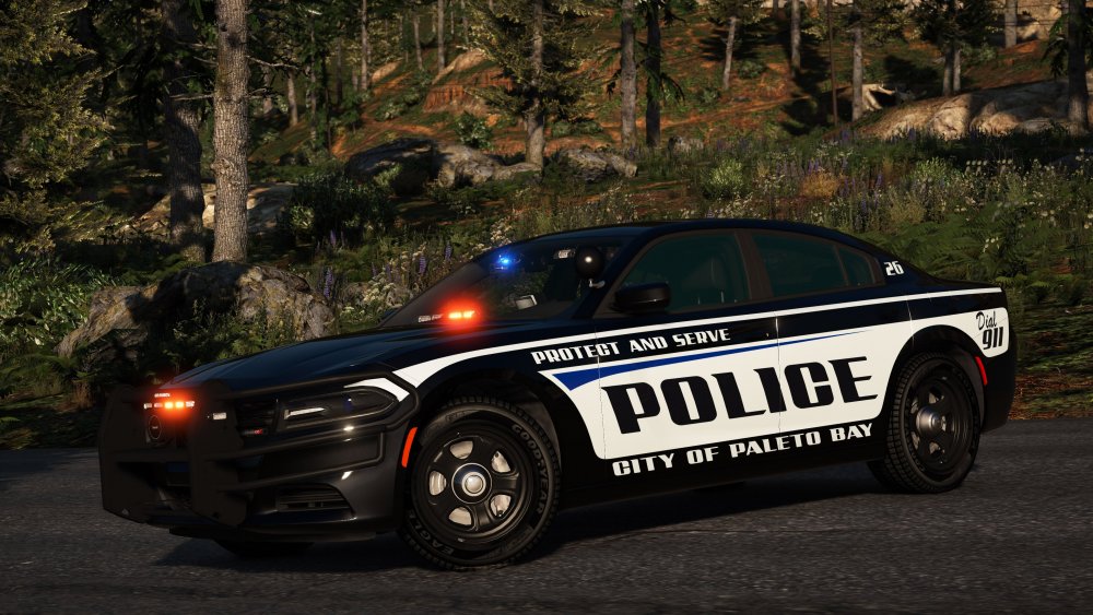 Grand Theft Auto V 6_8_2018 10_35_37 PM.jpg