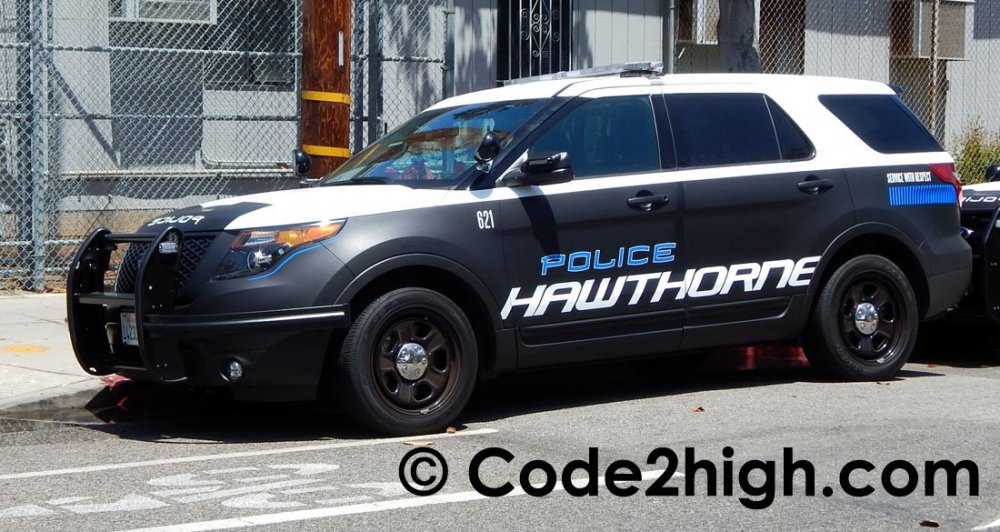 hawthorne_p22.jpg