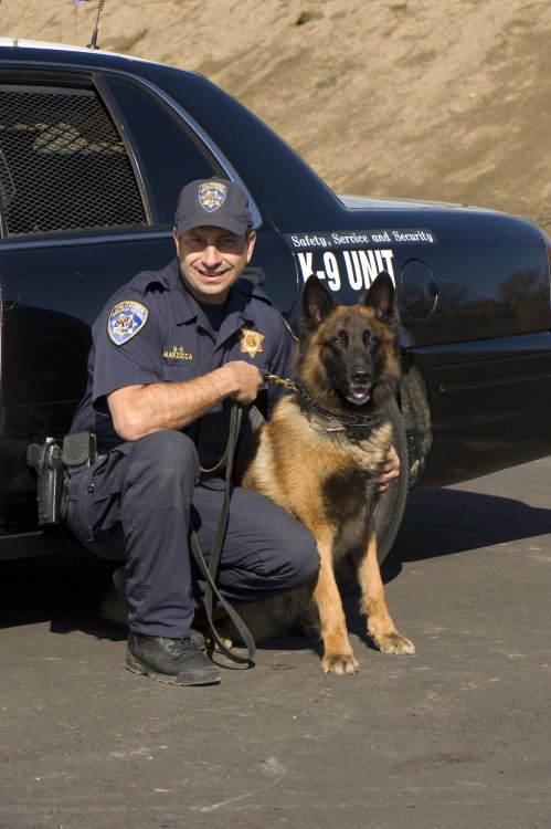 Officer Carlo Marzocca.jpg