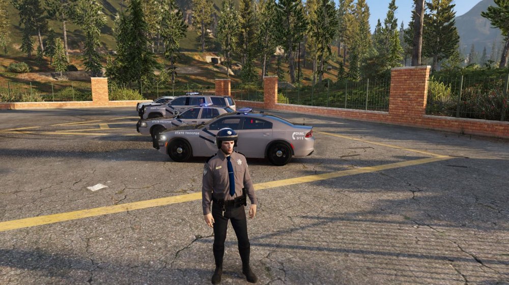 state skins6.JPG