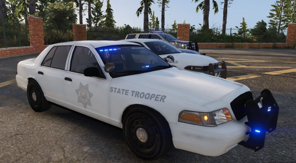 state skins4.JPG