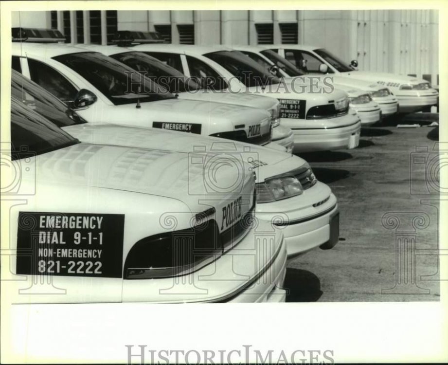 1994.jpg