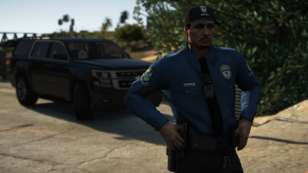 Grand Theft Auto V 1_20_2019 12_31_40 AM.png