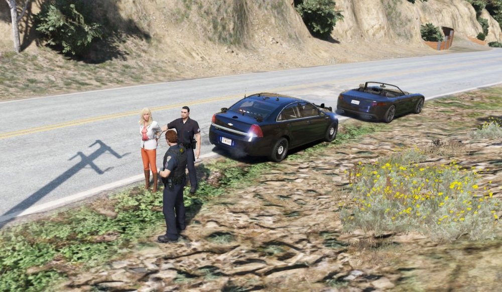 lspdfr 0.4 1.JPG